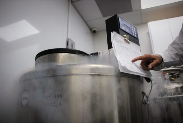 Texas’ New Adult Stem Cell Law Takes Effect