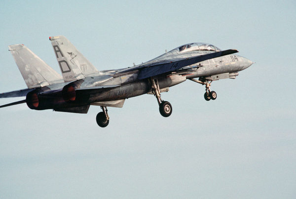 A Flier, A Hoops Star, A Steer: What Is A Maverick?