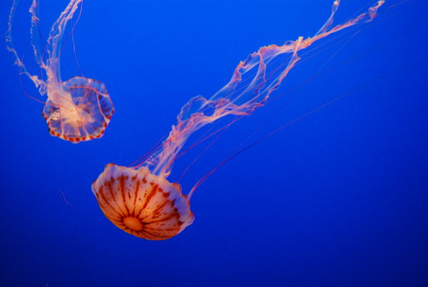 This Science Book Is For People Who Wouldn’t Normally Read A Science Book