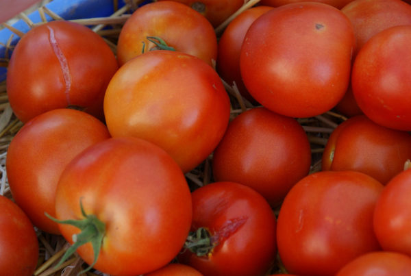 Family Farmers Market Made It Through Harvey