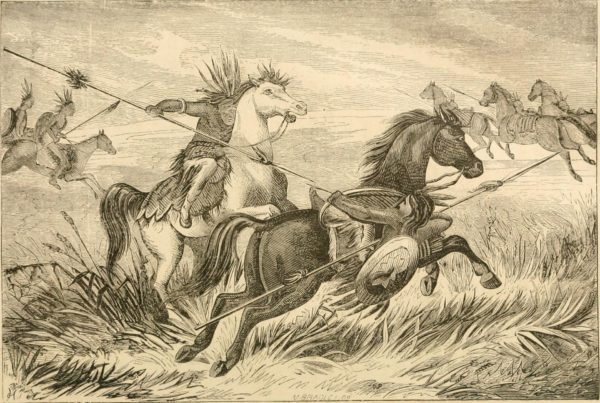 What Happened To The Wild Horses Of Texas?