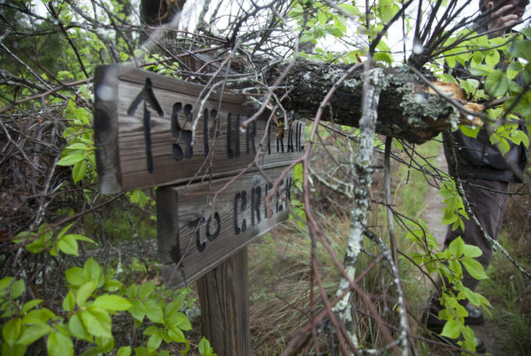 In Burnet County, Natural Wonders Are On Display