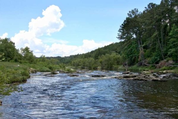 Louisiana To Study Interstate Water Sales To Parched Texas Communities