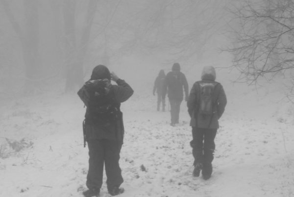 As Bomb Cyclone Blew, Energy Prices Spiked, Then Returned To Earth