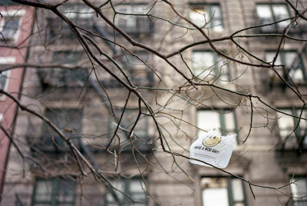 Will Laredo’s Plastic Bag Ban Hold Up In Court?