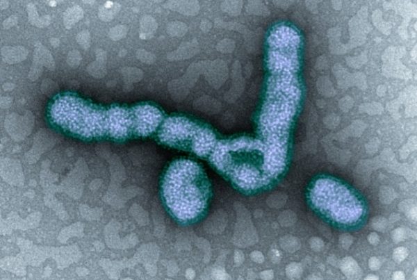 Texas Is In For A Rough Flu Season This Winter