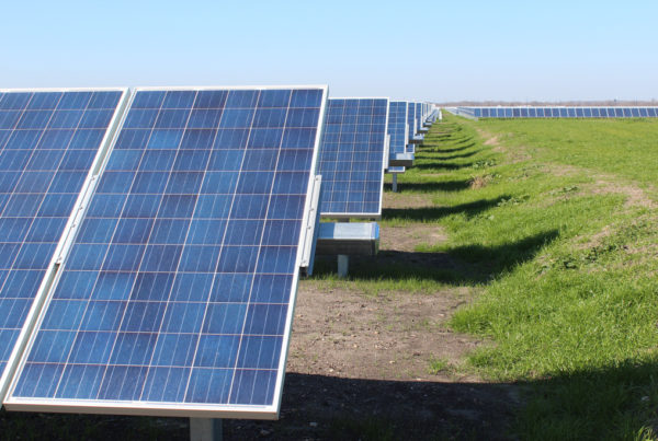 News Roundup: Denton Becomes Second City In Texas To Commit To 100 Percent Renewables