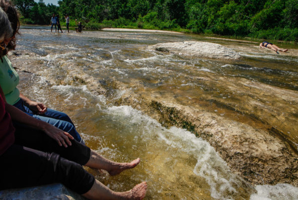 News Roundup: Top 5 Tips For Spring Breakers Going To State Parks