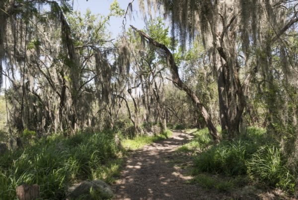 Congress’ New Spending Deal Will Add Border Fencing, But Spare Wildlife Refuge
