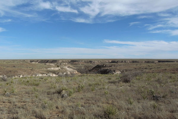 News Roundup: More Than Half Of The State Is Now Experiencing Drought Conditions