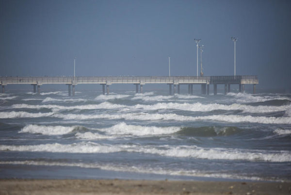 The Gulf Of Mexico’s ‘Dead Zone’ Would Take 30 Years To Reverse – If It Can Be Reversed At All