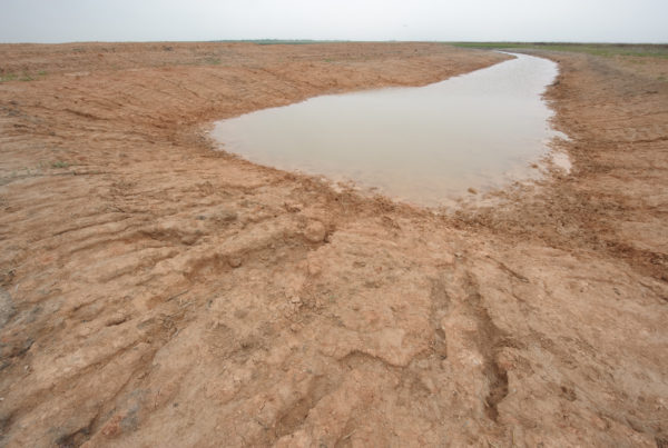 How Does The U.S. Prepare For Water Crises? Look To Texas.