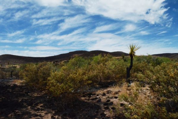 After Nearly Two Weeks, McDannald Ranch Fire Is Now 100 Percent Contained