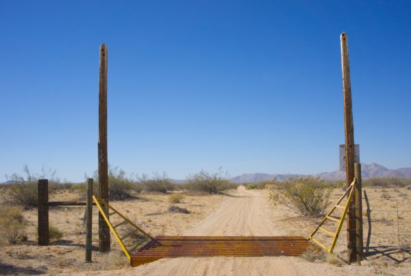 As Drought Spreads Across Texas, Ranchers Are Forced To Liquidate Their Stock