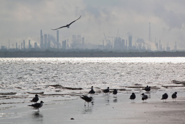 Citizen Lawsuits Against Texas Energy Facilities Are Winning Big