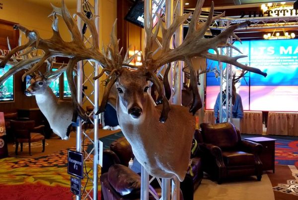 Texas Deer Industry To Bring Concerns Over Chronic Wasting Disease To Legislature