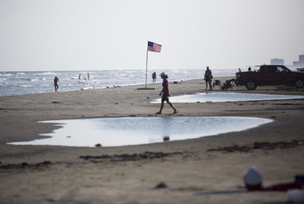 Marine Researchers Plan To Implement A New Red Tide Warning System