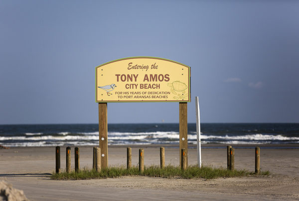 News Roundup: Report Shows High Rate Of Water Pollution At Texas Beaches