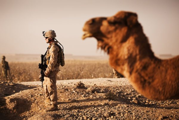 Is al-Qaida Still A Force To Be Reckoned With In Afghanistan?