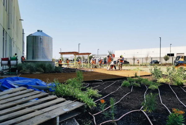 After More Than 30 Years In Dallas, The North Texas Food Bank Is Moving To The Suburbs