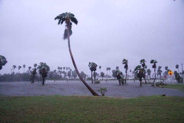 Officials In Rio Grande Valley Push FEMA To Reassess Flood Damage