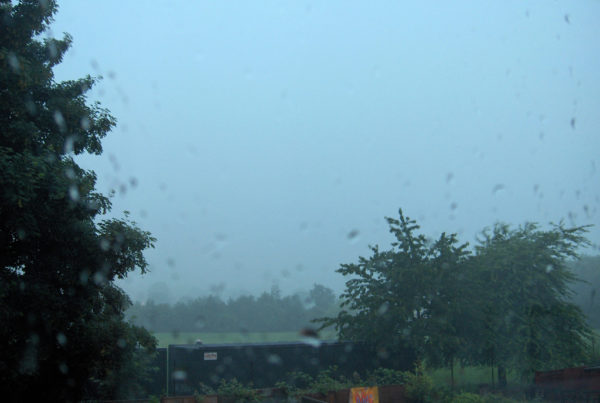 Can We Really Smell The Rain?