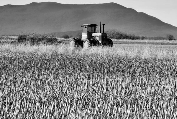 As Farmers Face Pressure From Tariffs, Suppliers Are Feeling The Squeeze As Well