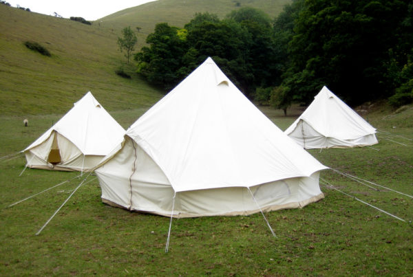 Why Walmart’s Website Is No Longer A Destination For Glampers