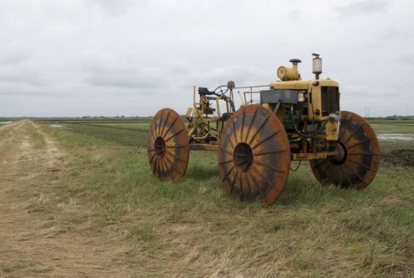 Renewal Of Federal Crop Insurance Program Hinges On Bipartisan Support Of SNAP