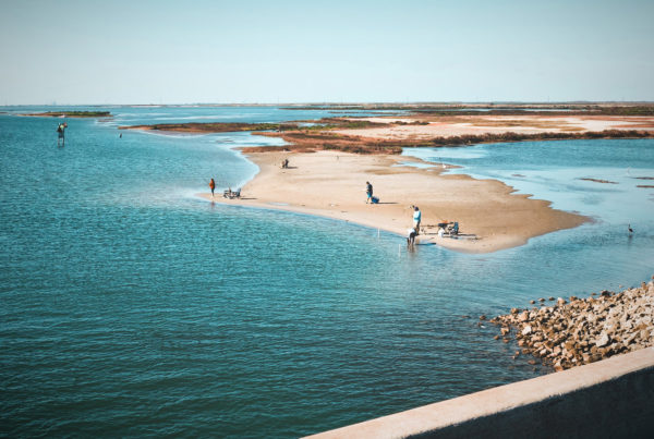As Red Tide Makes Waves in Florida, Texans Fear The Gulf Of Mexico Is Next