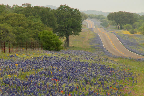 Find Villas With Vistas And Room For The Family At These Hill Country Retreats