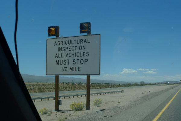 Texas A&M AgriLife Partners With DHS To Combat Biological Threats At The Border