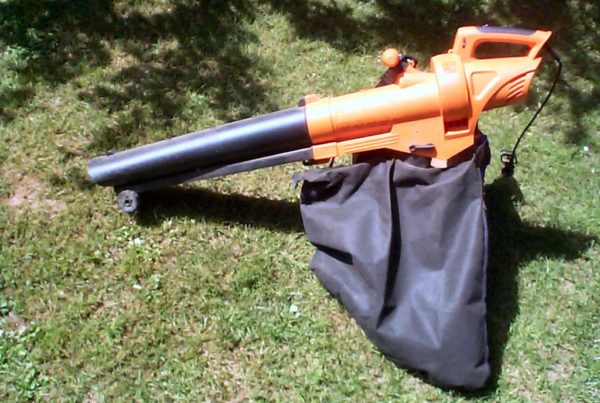 Typewriter Rodeo: The Leaf Blowers