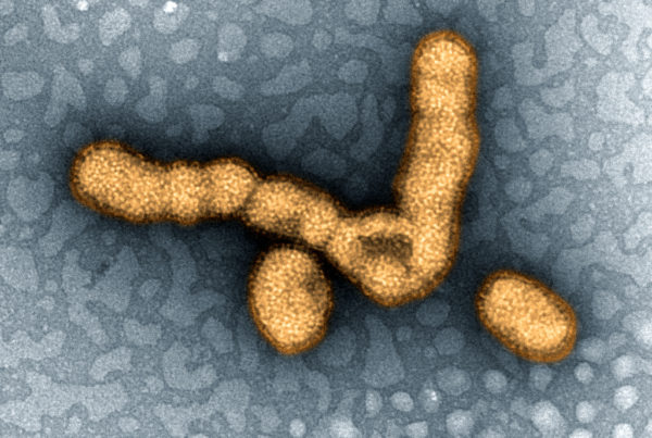 The Latest Flu Drug Is The Product Of A 40-Year-Old Discovery
