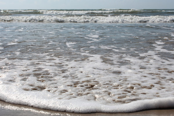 From Isolated Beaches To Great Tex-Mex, Get To Know 100 Things To Do In Texas Before You Die