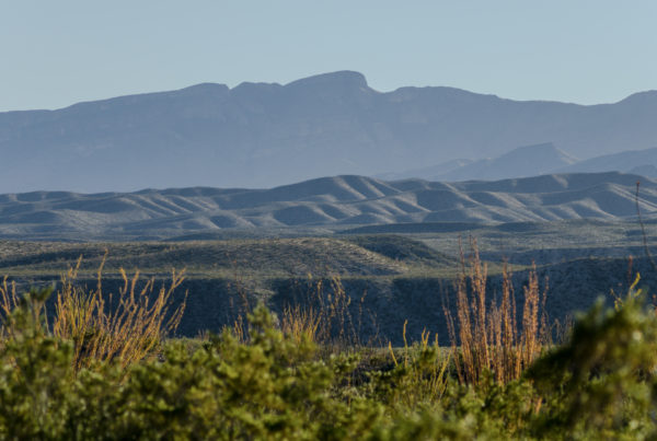 Remembering The Porvenir Massacre More Than 100 Years Later