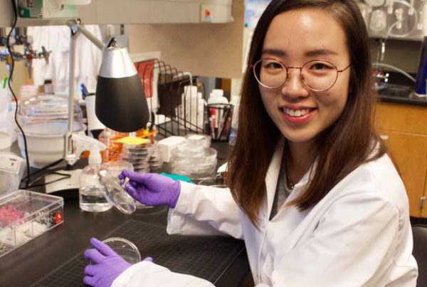How Probiotics Could Be Problematic For Those With Damaged Guts
