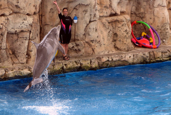 A New Employee At The Texas State Aquarium Is There To Keep The Fish Happy