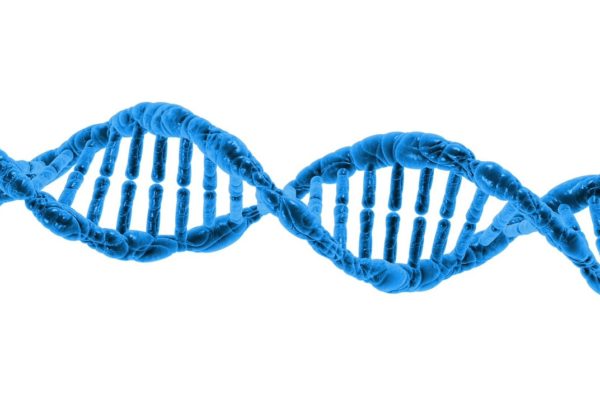 What Is Life? UT Researchers Are Building A Database To Describe It.