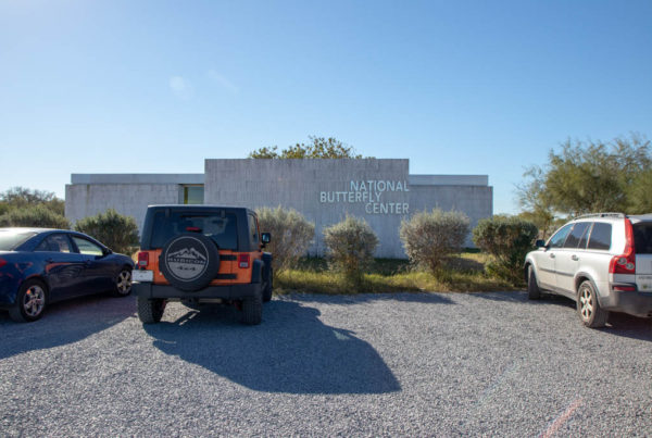 Harassment from QAnon conspiracy theorists forces temporary shutdown at Texas’ National Butterfly Center
