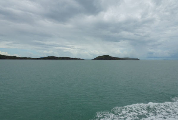 News Roundup: Two Bodies Recovered After Gulf Coast Cargo Plane Crash