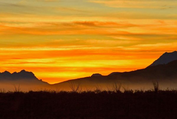 Viewing Texas Through A Photographer’s Lens