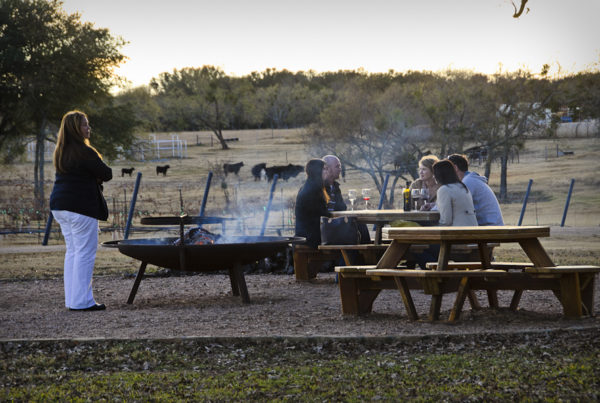 Venture To Fredericksburg Where Wine, Spectacular Views And German Hospitality Abound