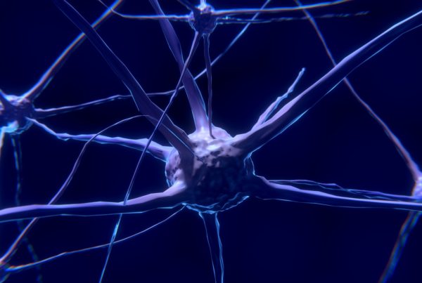 UT San Antonio’s Quantu Project Grows ‘Neural Networks’ In The Lab To Study Dementia