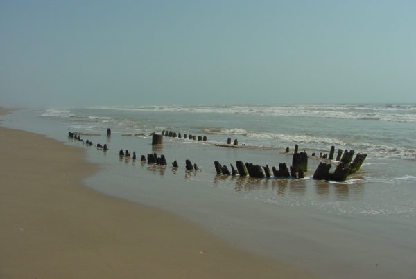 As Nature Claims Shipwrecks, Historians Can Only Watch