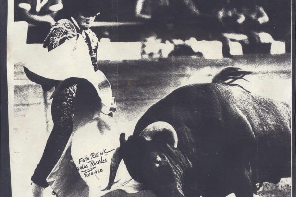 Matador-DavidRenk