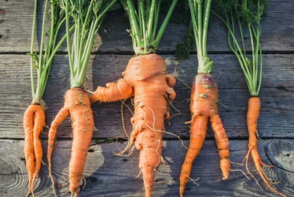 Can Consumers Change Their Minds About ‘Ugly’ Produce?