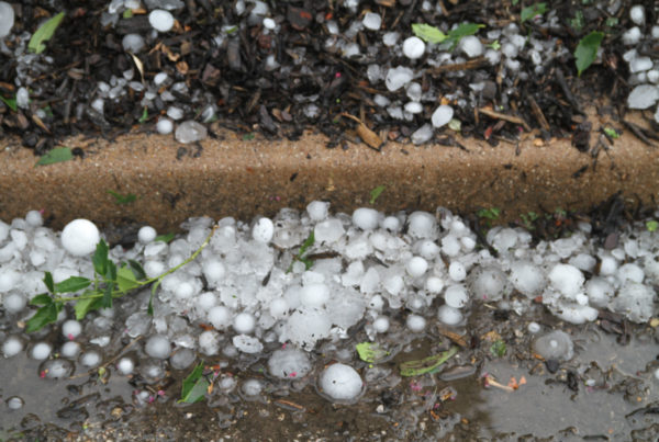 News Roundup: A Crane Collapsed On A Dallas Apartment Building During Weekend Storm