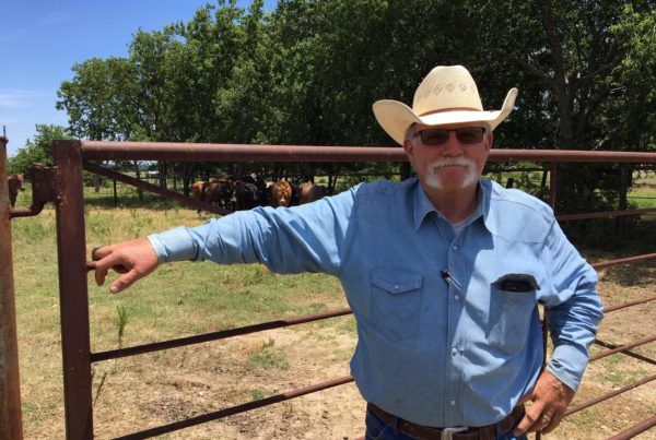 Church Herd: A Cattle Ministry Means Fewer Hungry Bellies In Denton