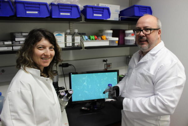 New UTSA Program Connects Veterans With Research Focused On Battlefield Trauma